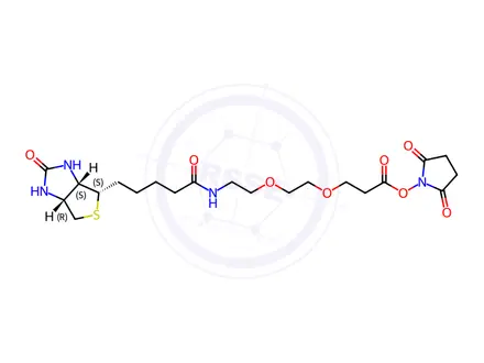 Chemical structure of Biotin-PEG2-NHS ester