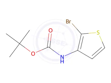 Chemical structure of tert-Butyl (2-bromothiophen-3-yl)carbamate