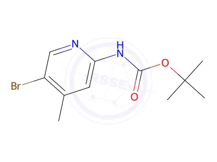 Chemical structure of tert-Butyl (5-bromo-4-methylpyridin-2-yl)carbamate