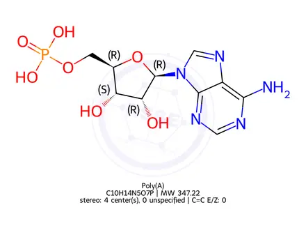 Chemical structure of 5'-Adenylic Acid