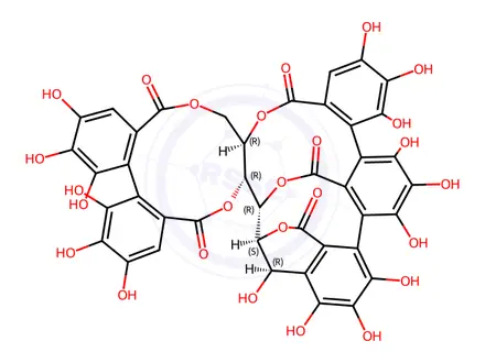 Chemical structure of Castalagin