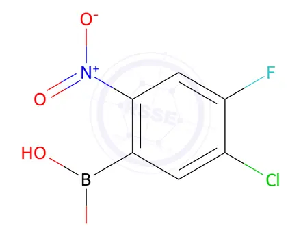 Chemical structure of 5-Chloro-4-fluoro-2-nitrophenylboronic acid