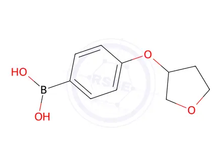 Chemical structure of [4-(oxolan-3-yloxy)phenyl]boronic acid