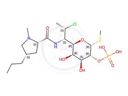 Chemical structure of (2R,3R,4S,5R,6R)-6-((1S,2S)-2-Chloro-1-((2S,4S)-1-methyl-4-propylpyrrolidine-2-carboxamido)propyl)-4,5-dihydroxy-2-(methylthio)tetrahydro-2H-pyran-3-yl dihydrogen phosphate