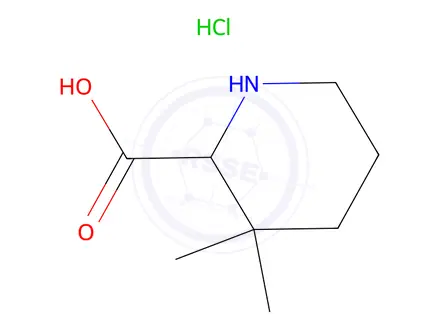 Chemical structure of 3,3-Dimethylpiperidine-2-carboxylic acid hydrochloride