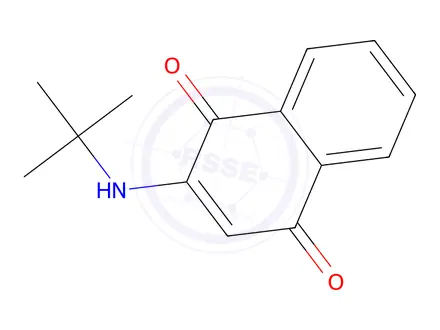 Chemical structure of 2-(tert-Butylamino)-1,4-naphthoquinone