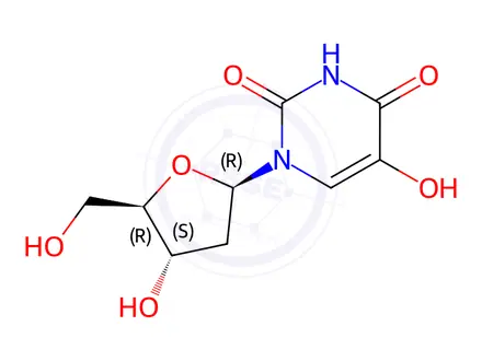 Chemical structure of 2’-Deoxy-5-hydroxyuridine