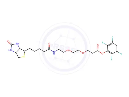 Chemical structure of Biotin-PEG12-TFP ester