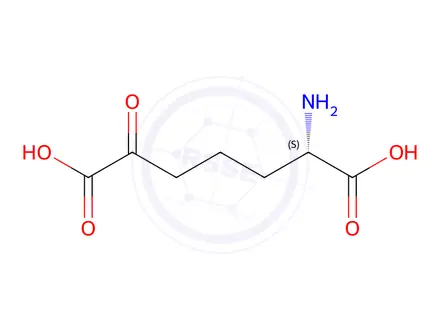 Chemical structure of (S)-2-Amino-6-oxoheptanedioic acid