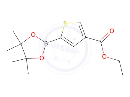 Chemical structure of 5-(4,4,5,5-Tetramethyl-[1,3,2]Dioxaborolan-2-Yl)-Thiophene-3-Carboxylic Acid Ethyl Ester