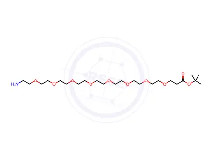 Chemical structure of NH2-PEG8-Boc