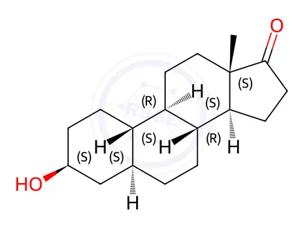 Chemical structure of 19-Norepiandrosterone