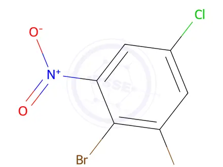 Chemical structure of 5-Chloro-2,3-dibromonitrobenzene