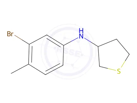 Chemical structure of N-(3-bromo-4-methylphenyl)tetrahydrothiophen-3-amine
