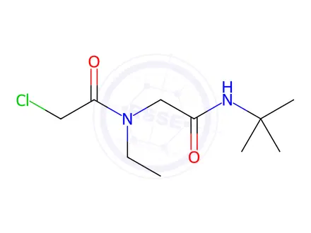 Chemical structure of n-Tert-butyl-2-(2-chloro-n-ethylacetamido)acetamide