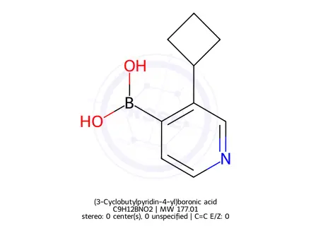 Chemical structure of (3-Cyclobutylpyridin-4-yl)boronic acid