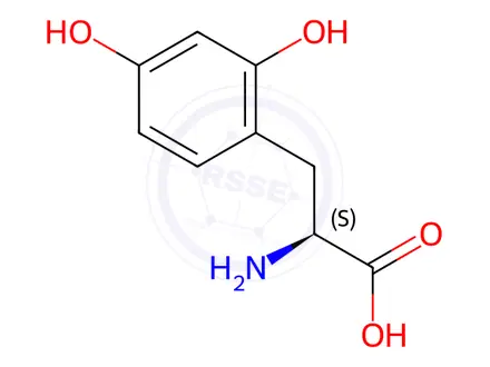 Chemical structure of 2,4-dihydroxyphenylalanine