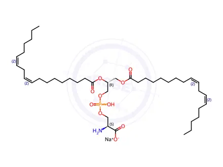 Chemical structure of 18:2 PS