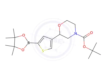 Chemical structure of Tert-butyl 2-(5-(4,4,5,5-tetramethyl-1,3,2-dioxaborolan-2-yl)thiophen-3-yl)morpholine-4-carboxylate
