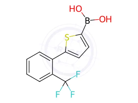 Chemical structure of (5-(2-(Trifluoromethyl)phenyl)thiophen-2-yl)boronic acid