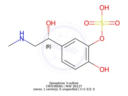 Chemical structure of Epinephrine 3-sulfate