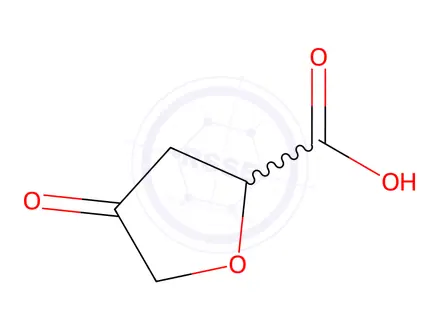 Chemical structure of 4-Oxotetrahydrofuran-2-carboxylic acid