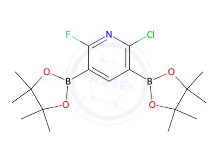 Chemical structure of 2-Chloro-6-fluoro-3,5-bis(4,4,5,5-tetramethyl-1,3,2-dioxaborolan-2-yl)pyridine