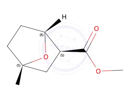 Chemical structure of Methyl (1S,2S,4R)-7-oxabicyclo[2.2.1]Heptane-2-carboxylate