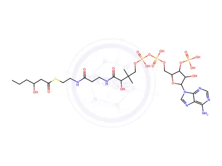 Chemical structure of S-(3-hydroxyhexanoate) Coenzyme A