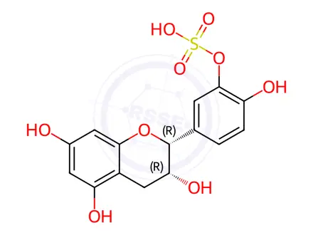 Chemical structure of 3'-O-Sulfate-Epicatechin