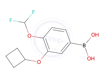 Chemical structure of 3-Cyclobutoxy-4-(Difluoromethoxy)Phenylboronic Acid(WX650128)