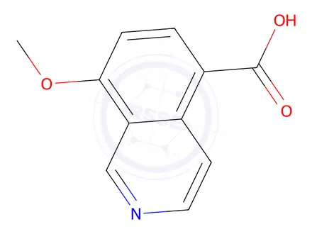 Chemical structure of 8-methoxyisoquinoline-5-carboxylic acid