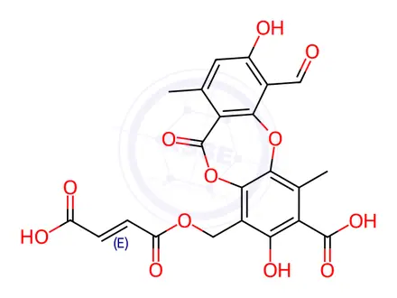 Chemical structure of Fumarprotocetraric Acid
