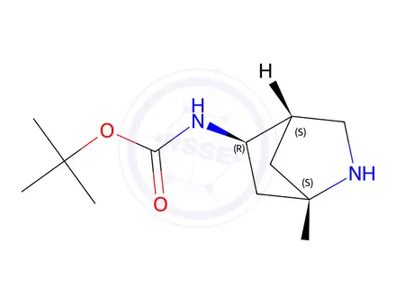 Chemical structure of tert-Butyl N-[(1S,4S,5R)-2-azabicyclo[2.2.1]heptan-5-yl]carbamate