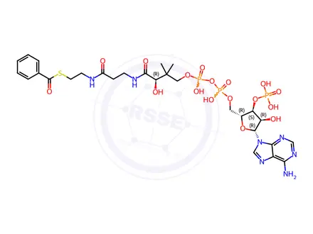 Chemical structure of Coenzyme A Impurity 18