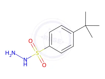 Chemical structure of 4-(tert-Butyl)benzenesulfonohydrazide
