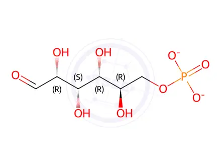 Chemical structure of D-Glucose-6-phosphate disodium salt