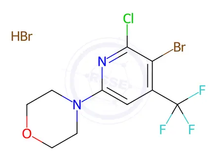 Chemical structure of 4-[5-Bromo-6-chloro-4-(trifluoromethyl)-2-pyridyl]morpholine hydrobromide