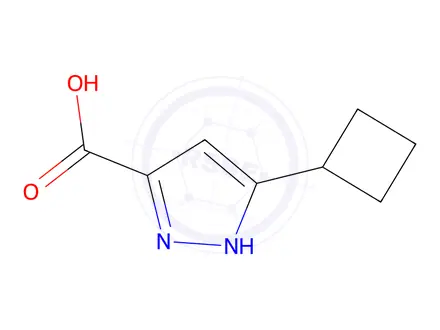 Chemical structure of 5-Cyclobutyl-1H-pyrazole-3-carboxylic acid