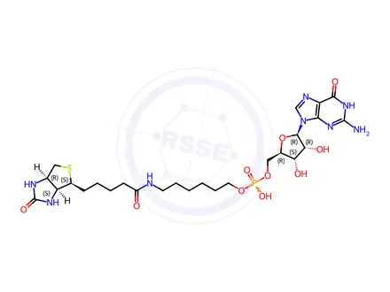 Chemical structure of 5'-Biotin-G-Monophosphate