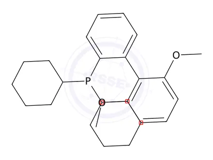 Chemical structure of Dicyclohexyl(2,6-dimethoxy-[1,1-biphenyl]-2-yl)phosphine