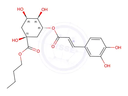 Chemical structure of Butylchlorogenate
