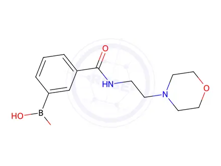 Chemical structure of (3-((2-Morpholinoethyl)carbamoyl)phenyl)boronic acid