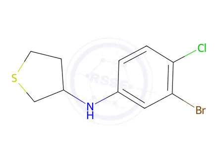 Chemical structure of N-(3-bromo-4-chlorophenyl)tetrahydrothiophen-3-amine