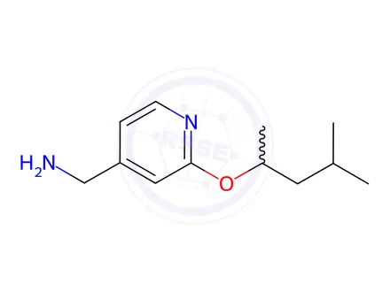 Chemical structure of {2-[(4-Methylpentan-2-yl)oxy]pyridin-4-yl}methanamine