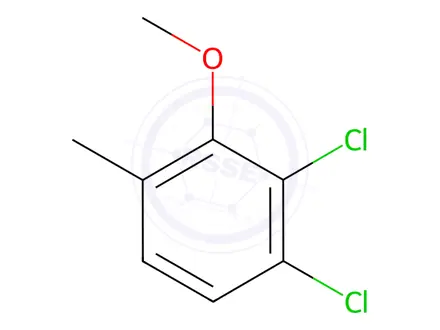 Chemical structure of Benzene, 1,2-dichloro-3-methoxy-4-methyl-