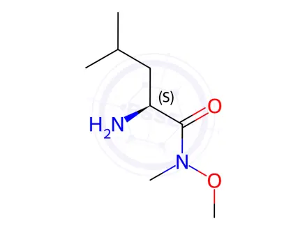 Chemical structure of (S)-2-Amino-N-methoxy-N,4-dimethylpentanamide