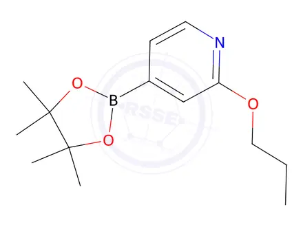 Chemical structure of 2-Propoxy-4-(4,4,5,5-tetraMethyl-1,3,2-dioxaborolan-2-yl)pyridine
