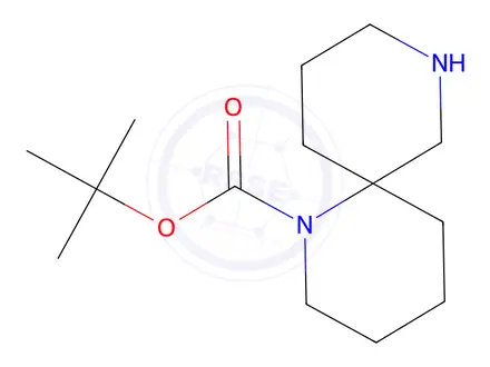 Chemical structure of TERT-BUTYL 1,8-DIAZASPIRO[5.5]UNDECANE-1-CARBOXYLATE