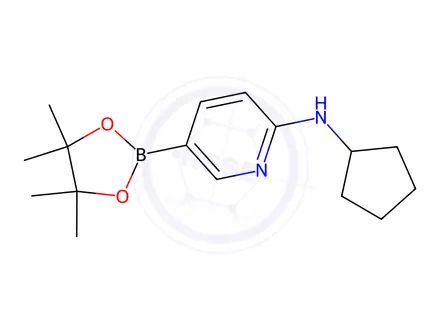 Chemical structure of N-Cyclopentyl-5-(4,4,5,5-tetramethyl-1,3,2-dioxaborolan-2-yl)pyridin-2-amine